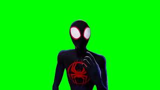 SPIDERMAN ACROSS THE SPIDER VERSE Green Screen  Spiderman Green Screen [upl. by Guthrie]