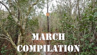 March Compilation  colesfarmnc jacksonvillenc beekeeping [upl. by Thar]