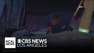 Driver 21 allegedly struck and killed woman on Santa Monica beach [upl. by Yanad]