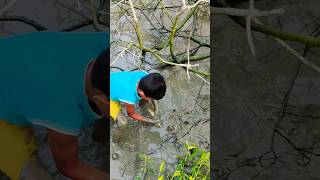 fishing new shorts youtubeshorts viralshort foryoupage [upl. by Zuliram]