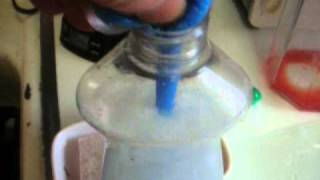 How to make your own dishwashing liquid [upl. by Nuriel]