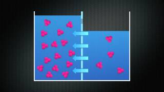 Diffusion Osmosis and Tonicity [upl. by Mooney]