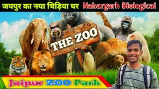 Nahargarh Biological Park  Jaipur zoo  Lion Safari JAIPUR ZOO Park 🏞️ NEW VLOGE  zoo vloge [upl. by Onairda837]