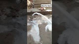 Termite Proofing Spray At DHA Phase 5 fyp trending fy fyp work support viralposts [upl. by Zeiler]