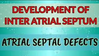 Development of Interatrial septumHUMAN EMBRYOLOGY [upl. by Sokcin]