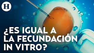 ¿Qué es y cómo se hace la inseminación artificial Tratamiento riesgos y todo que debes saber [upl. by Asseral]