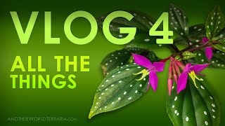 Terrarium Vlog 4 All the Things [upl. by Down]