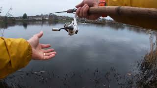 Fishing for the elusive pike of killingworth lakes [upl. by Madella]