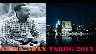 AWALE ADAN 2013 TIRIIG OFFICIAL SONG BY STUDIO LIIBAAN [upl. by Attenod254]