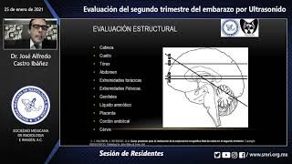 Sesión de Residentes Evaluación del segundo trimestre del embarazo por Ultrasonido [upl. by Sillaw]