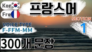 프랑스어  Type F F F M M M Section 1 생활 회화  짧고 쉬운 300문장 연속듣기  원어민 남 여 음성 듣기 [upl. by Kare]