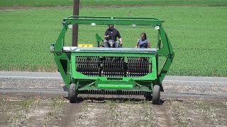 Haws Mechanical Asparagus Harvester [upl. by Mcwherter307]