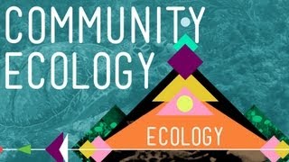 Community Ecology Feel the Love  Crash Course Ecology 4 [upl. by Joab]