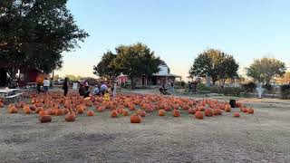 dewberry Farm Halloween season [upl. by Buhler]