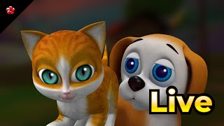 🔴 LIVE STREAM 🎬 Malayalam Cartoon Live ☃️ Kathu Pupi Manjadi Banu Bablu 🦁 for Kids [upl. by Enyr373]