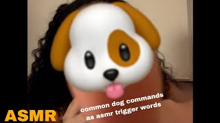 ASMR common dog commands as asmr trigger words [upl. by Johannes525]