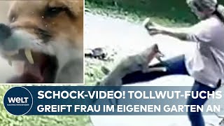 SCHOCKIERENDES VIDEO Tollwütiger Fuchs attackiert Frau in ihrem Garten [upl. by Ayrolg]