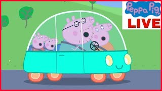 🔴 LIVE  Nonstop Peppa Pig Livestream  Join the Fun 247 🐷🎉 [upl. by Krahling]