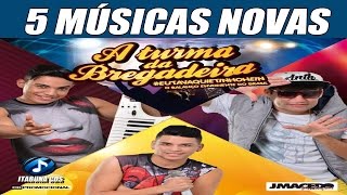 A TURMA DA BREGADEIRA  5 MÚSICAS NOVAS  ESPECIAL PRA PAREDÃO 2017 [upl. by Anilatac]