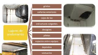 Curso de manipulación higiénica de los alimentos  AGENCIA GUBERNAMENTAL DE CONTROL [upl. by Eizdnil]