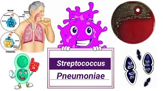 Streptococcus pneumoniae English  Microbiology [upl. by Ayokahs]