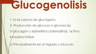 GlucogenoLISIS PASO A PASO [upl. by Nabetse]