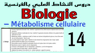 Métabolisme cellulaire catabolisme oxydatif [upl. by Carlene772]