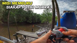 MEMBURU Siakap Putih Muara Sungai Merbok [upl. by Anatol]