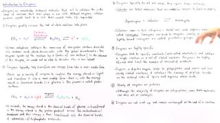 Properties of Enzymes [upl. by Krystle]