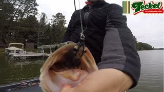 Skipping the Teckel Sprinker Frog under docks for October Largemouth Bass [upl. by Delisle]