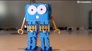 Robotics Online Certification Course  Best Online Robotics Course for All  Eckovation [upl. by Siravrat]