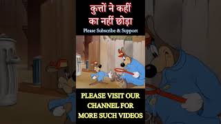 कुत्तों 🐶 ने कहीं का नहीं छोड़ा  Funny Short Video funnycomedy funnyshorts funny comedy [upl. by Dotti]