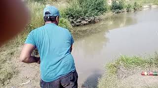 Fishing at Gujar khan Jabbar sareen carp fishing livefishing [upl. by Lasyrc]