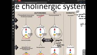 Organic pharmaceuticals chemistry Cholinergic Drugspart 1 [upl. by Lienet]