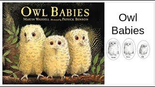 Owl Babies a story read for children [upl. by Twila]