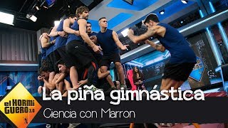 Cristina Pedroche alucina con 21 gimnastas sobre un metro cuadrado  El Hormiguero 30 [upl. by Shevlo]