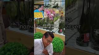 Не за что купить орхидеицветут orchidcare цветы орхидеи plants orchidarium пересадкаорхидеи [upl. by Gnoy]