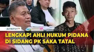 Ahli Hukum Pidana Soroti Pencabutan BAP hingga Kehadiran Saksi di Sidang PK Saka Tatal di Kasus Vina [upl. by Killoran]