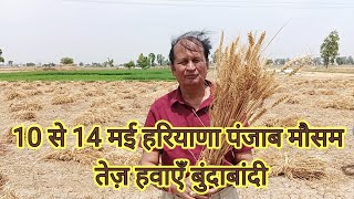 10 से 14 मई हरियाणा पंजाब मौसम तेज़ हवाएँ बुंदाबांदी weathernews [upl. by Le]