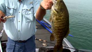 Port Colborne Smallmouth [upl. by Kentiga323]