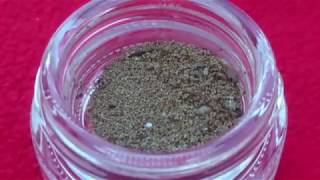 Triops Egg Extraction Method by InstaTriassicpark [upl. by Neenaej]