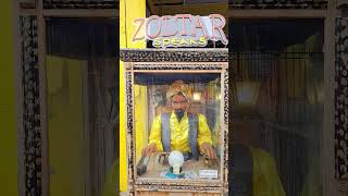 Zoltar is The Man 🗽👍🤞 big zoltar coneyisland coneyi [upl. by Valina]