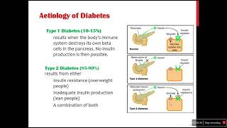 very important introduction to DM dr Abdallah Salah 3rd Year [upl. by Julienne521]