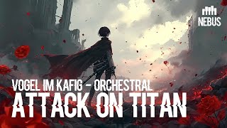 ATTACK ON TITAN  Vogel im Käfig Orchestral  Nebus  Eiji Musika [upl. by Donnenfeld]