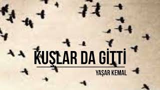 Kuşlar da Gitti  Yaşar Kemal  Sesli Kitap [upl. by Brink]