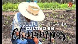 Las chinampas en Xochimilco RutaGourmet [upl. by Jeuz]