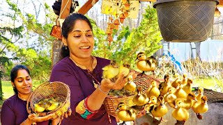 നാട്ടിൽ നിന്നും തിരിച്ചു എത്തി കൂടെ താറാവ് കുഞ്ഞുങ്ങളും എത്തി BABY DUCK ARRIVESSMOKED BEEF BIRYANI [upl. by Cordelia]