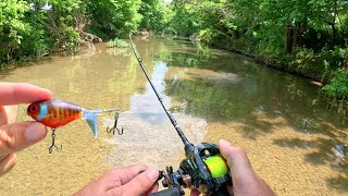 BFS Topwater Fishing Small Creek [upl. by Pillihp]