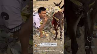 Puneet Joginder Ne Tatti Kha Li😂😂🤣 shortsfeed shorts funny explore [upl. by Aihsena]