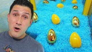 Mystery Egg Challenge [upl. by Gage]